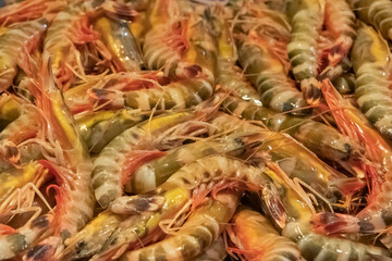 Tiger prawns caught on the day and freshly unloaded from the boat, for sale in the fishmonger of a market in a city on the Spanish coast.