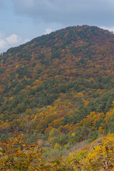 日本　青森県青森市にある岩木山展望所から見える風景と紅葉