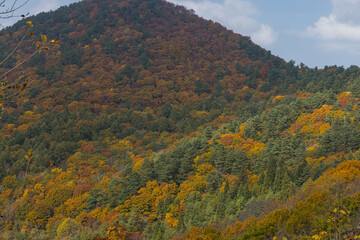 日本　青森県青森市にある岩木山展望所から見える風景と紅葉