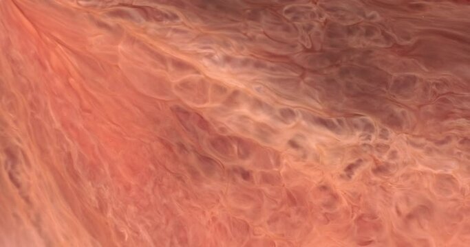 Peachy orange paint float cloud in abstract motion. Soft orange texture of flowing, airy liquid. Warm flying sun energy concept. Orange solar storm in motion. Fluid ink texture. Vertical backdrop