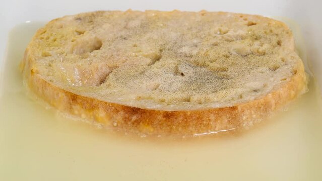 mold forming on slice of bread in water time lapse