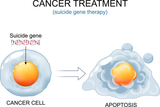 Cancer treatment. Cancer cell and DNA with Suicide gene