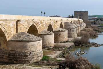 Panoramic view of long, restored bridge with many arcades and gate tower at the end close to the Mosque-Cathedral of Cordoba, Andalusia, Spain
