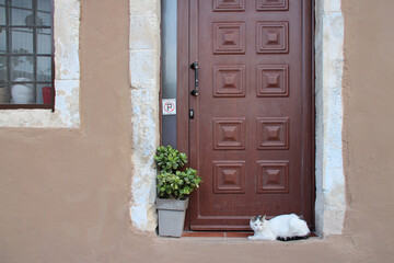 cat in front of a door in margarites in crete in greece 