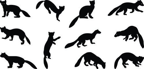 Marten silhouettes. marten icon set from animals element collection wildlife outline vector isolated on transparent background flat black icon marten sign, symbol for web and mobile