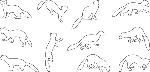 Marten silhouettes. marten icon set from animals element collection wildlife outline vector isolated on transparent background line black icon marten sign, symbol for web and mobile
