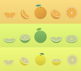 Set of citrus fruits on a color background. 