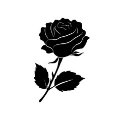 Black Beautiful Rose silhouette side view