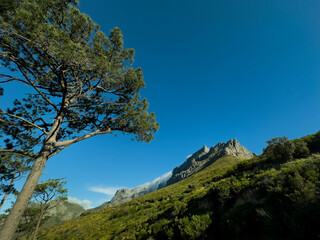Table Mountain, Cape Town, South Africa