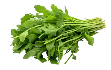 Green Arugula Bunch on white background
