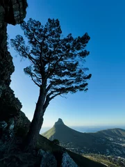 Tableaux ronds sur aluminium Montagne de la Table Lions Head from Table Mountain, Cape Town, South Africa