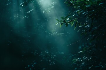 Fototapeta na wymiar serene yet haunting atmosphere within a dense forest, where light rays break through the canopy, highlighting the mist and illuminating patches of foliage