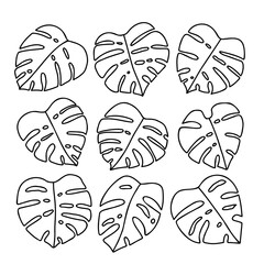 Monstera leaves outline set. Tropical leaves line art hand drawn collection. Botanical simple illustration. Minimal line art drawing. © Катерина Тышковская