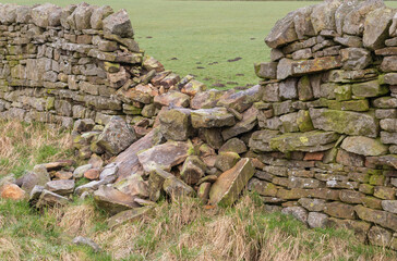  A collapsed section of dry stone wall