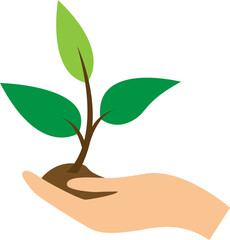 hand holding a young plant vector illustration