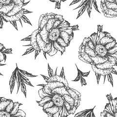 A botanical summer pattern with hand-painted peonies, delicate in gray and pink colors for design, scrapbooking and fabrics. Vector seamless pattern with floral elements on a white background