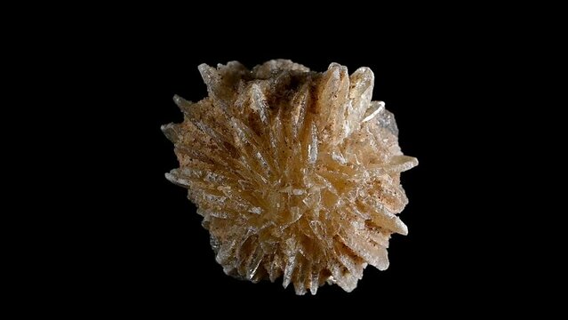 'Desert Rose' - Baryte (barium sulphate) rotating slowly	
