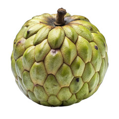 Fototapeta premium A green, fresh artichoke rests isolated on a white background, a unique and healthy vegetable