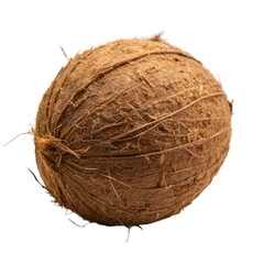 Fresh, whole coconut with a hard, hairy shell isolated on a white background – a tropical, exotic, and healthy fruit from nature, perfect for a vegetarian and natural diet