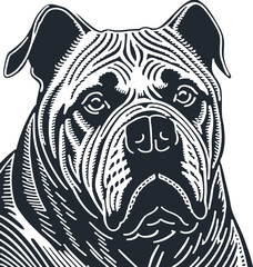 Big old mastiff, vector illustration - 748695547