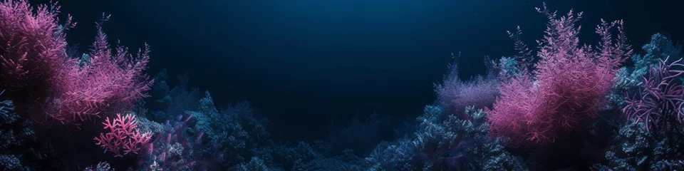 Poster corals underwater landscape in the dark. © Yahor Shylau 