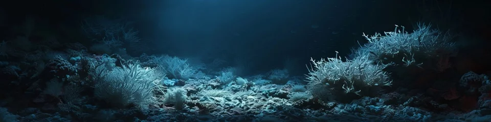 Keuken spatwand met foto corals underwater landscape in the dark. © Yahor Shylau 