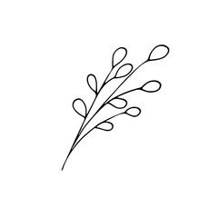 Hand-drawn meadow flower. Vector botanical illustration. Nature flower plant. Doodle-style simple garden element..Art floral element for cosmetics and beauty design.