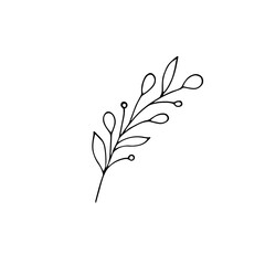 A simple hand-drawn botanical element. Grass twig Doodle-style minimalist branch with leaves.