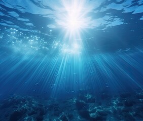 ocean underwater landscape sea