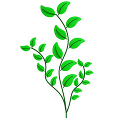 Green Leaves Flourishing: Organic Beauty in Nature