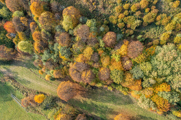 Jesień w gorach, Dubne, Góry Leluchowskie