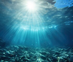 Fototapeta na wymiar ocean underwater landscape sea