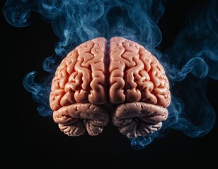 Illustration of human brain in smoke