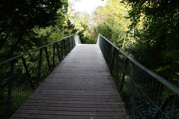 wooden bridge in the forest