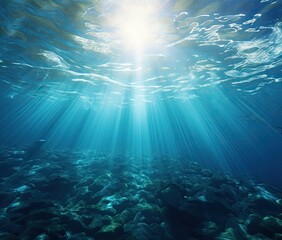 Fototapeta na wymiar ocean underwater landscape sea