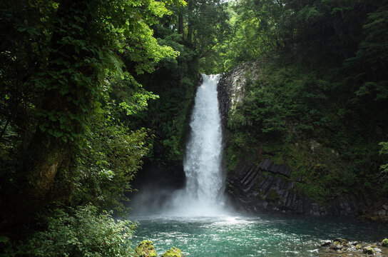 waterfall in the forest