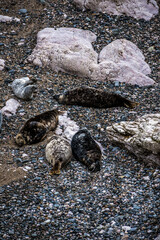 Angel Bay, Little Orme, North wales.