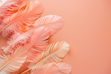 Feathers in trend peach fuzz color 2024