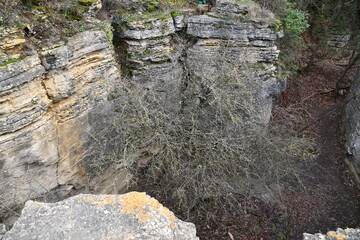 Rocky natural surface
