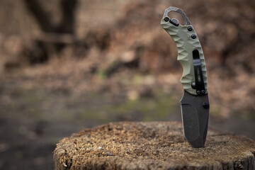 Tactical knife stuck in a tree stump in a forest