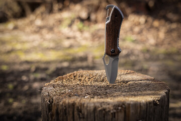 Tactical knife stuck in a tree stump in a forest