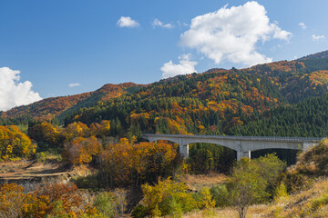 Fototapeta na wymiar 日本　青森県中津軽郡西目屋村の津軽白神湖パークからの紅葉風景