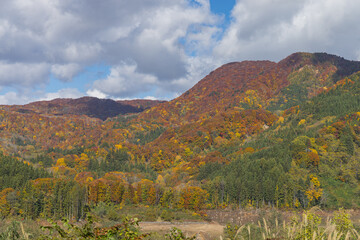 日本　青森県中津軽郡西目屋村の津軽白神湖パークからの紅葉風景