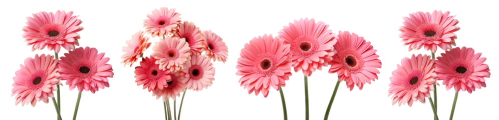 Deurstickers Set of pink gerbera daises, cut out © Yeti Studio