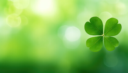 Clover with blurred background with space for text, concept St.Patrick 's Day