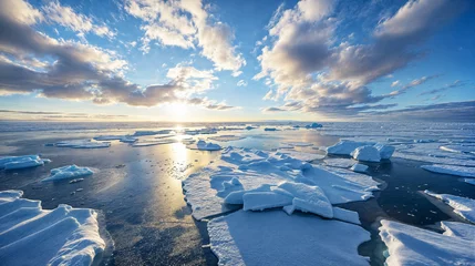 Foto op Aluminium Sunrise over ice floes in the frozen polar sea © Flowal93