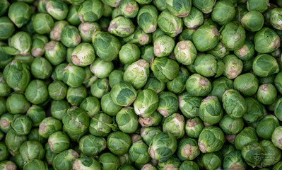Sprouts Rosenkohl