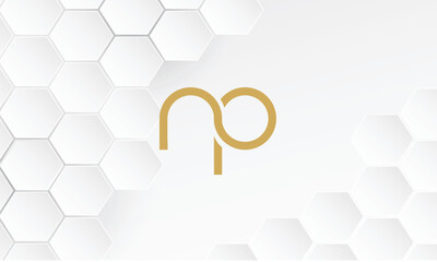 NP, PN, Abstract Letters Logo monogram