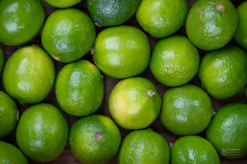 Limes Limetten