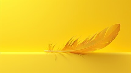 a yellow feather sitting on top of a bright yellow surface with a reflection of it's wing in the center of the image.